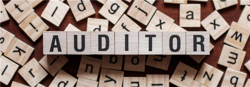 How QMS Auditors Drive Continuous Improvement in Organizations