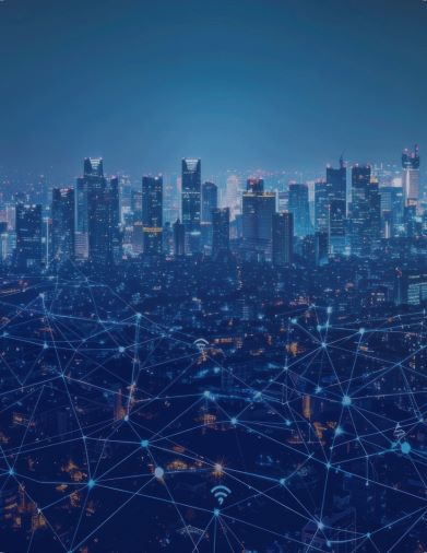 Network Vulnerability Assessment