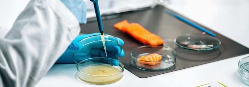 A Complete Guide to HACCP in ISO 22000