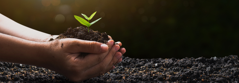ISO 14064 Explained: Simplifying GHG Accounting and Verification
