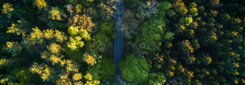 Driving Environmental Compliance: The Role of ISO 14001 Lead Auditor Training